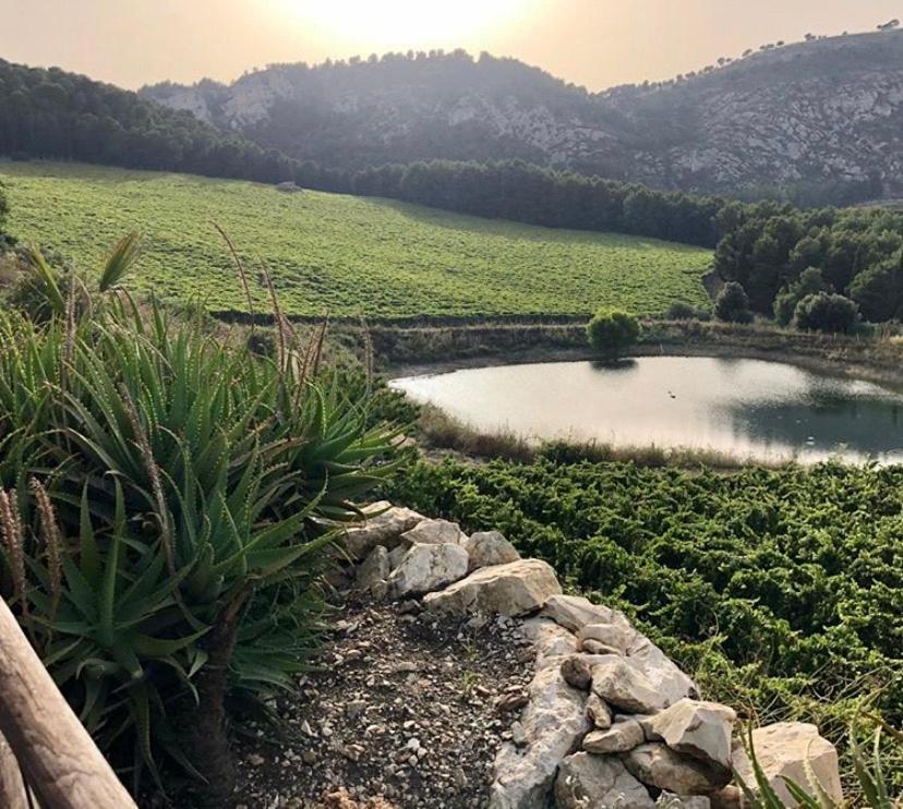 Agriturismo Tenute Pispisa Segesta Calatafimi Ngoại thất bức ảnh