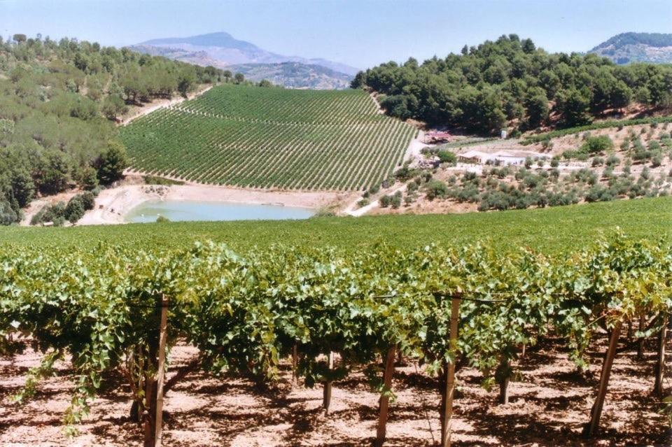 Agriturismo Tenute Pispisa Segesta Calatafimi Ngoại thất bức ảnh