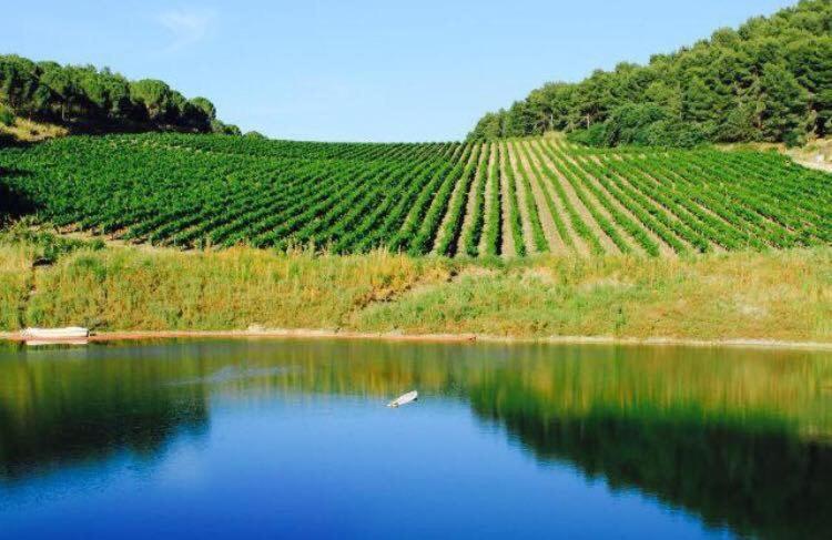 Agriturismo Tenute Pispisa Segesta Calatafimi Ngoại thất bức ảnh