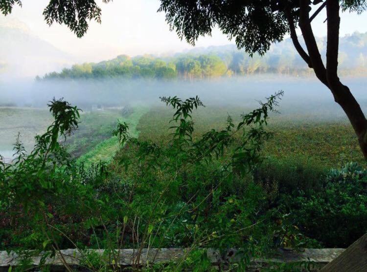 Agriturismo Tenute Pispisa Segesta Calatafimi Ngoại thất bức ảnh