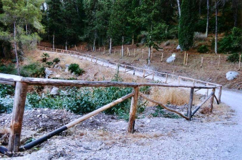 Agriturismo Tenute Pispisa Segesta Calatafimi Ngoại thất bức ảnh