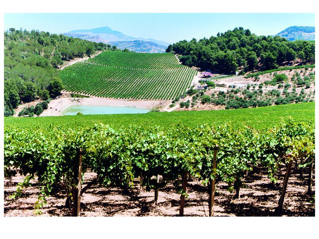 Agriturismo Tenute Pispisa Segesta Calatafimi Ngoại thất bức ảnh