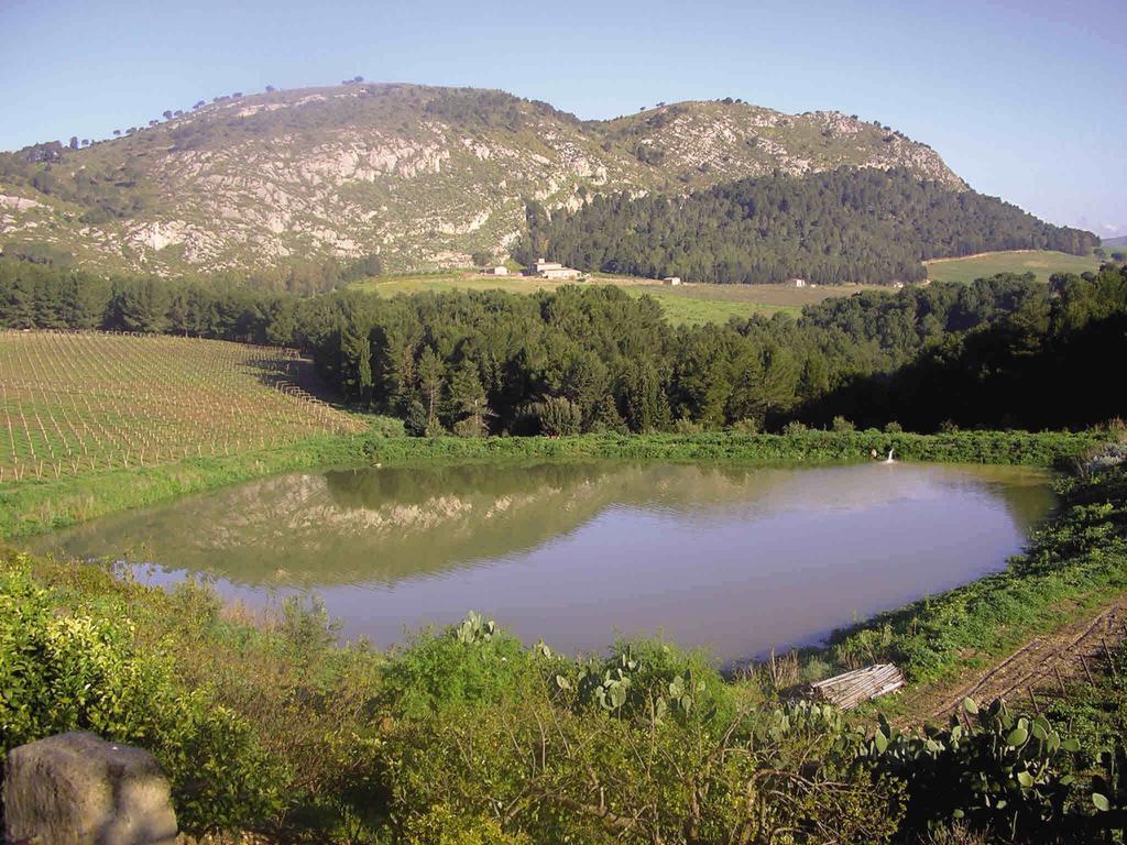Agriturismo Tenute Pispisa Segesta Calatafimi Ngoại thất bức ảnh