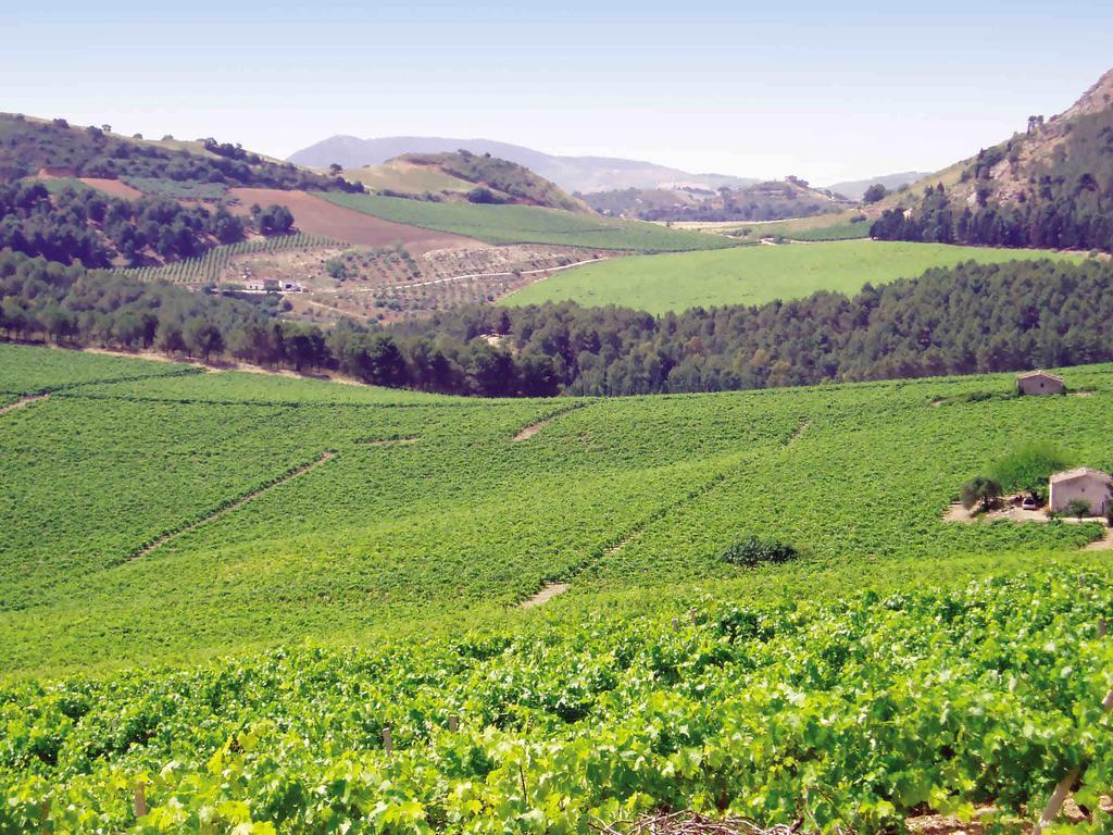 Agriturismo Tenute Pispisa Segesta Calatafimi Ngoại thất bức ảnh