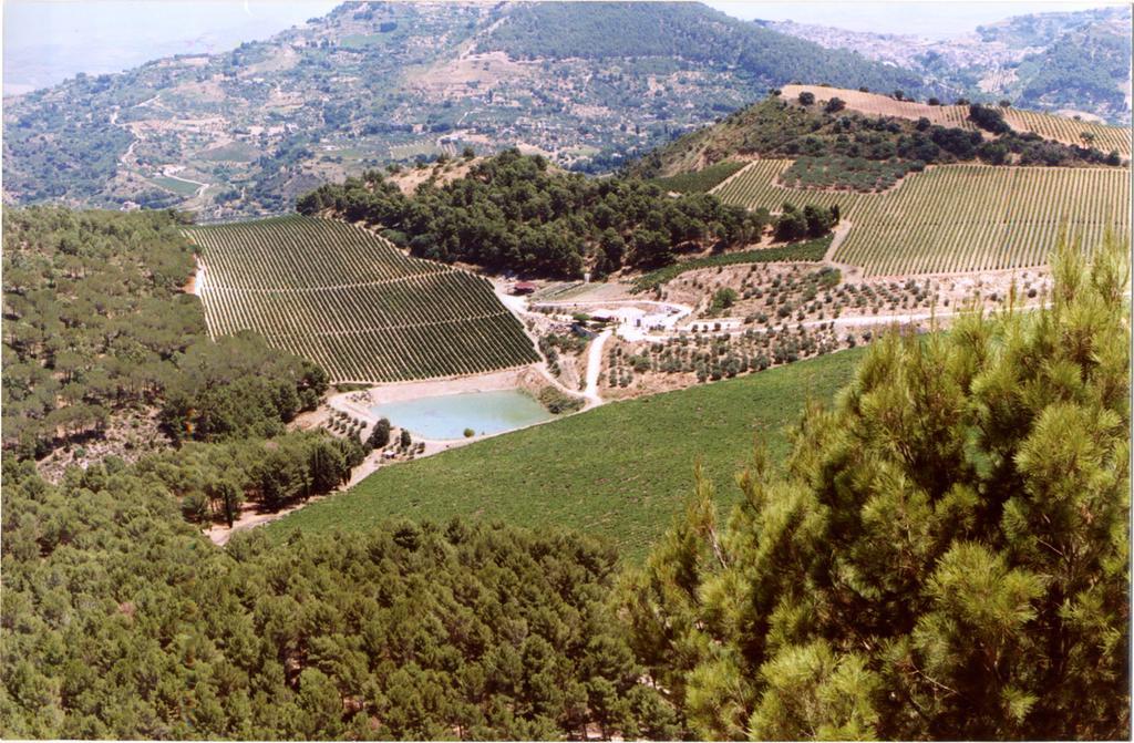 Agriturismo Tenute Pispisa Segesta Calatafimi Ngoại thất bức ảnh