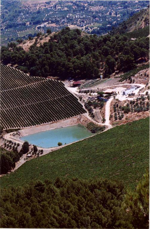 Agriturismo Tenute Pispisa Segesta Calatafimi Ngoại thất bức ảnh