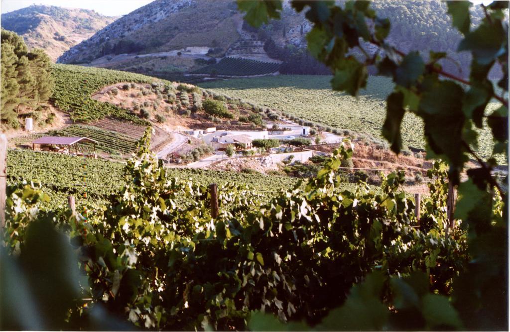 Agriturismo Tenute Pispisa Segesta Calatafimi Ngoại thất bức ảnh