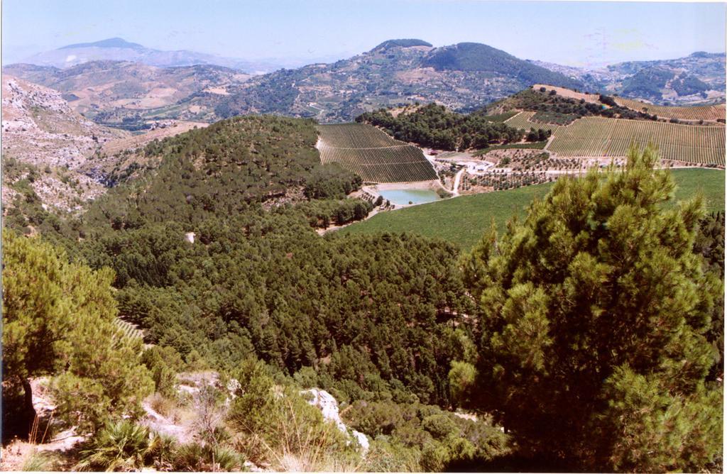 Agriturismo Tenute Pispisa Segesta Calatafimi Ngoại thất bức ảnh
