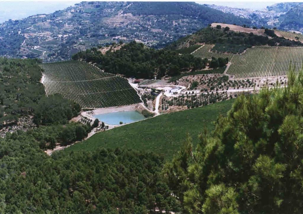 Agriturismo Tenute Pispisa Segesta Calatafimi Ngoại thất bức ảnh