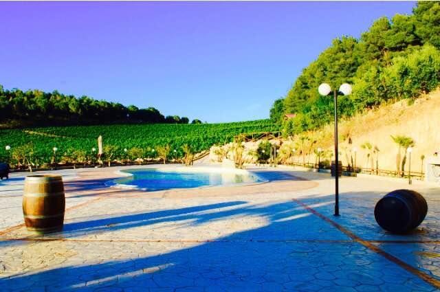 Agriturismo Tenute Pispisa Segesta Calatafimi Ngoại thất bức ảnh