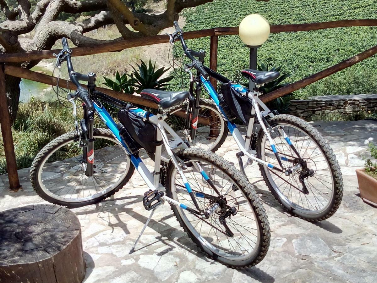 Agriturismo Tenute Pispisa Segesta Calatafimi Ngoại thất bức ảnh